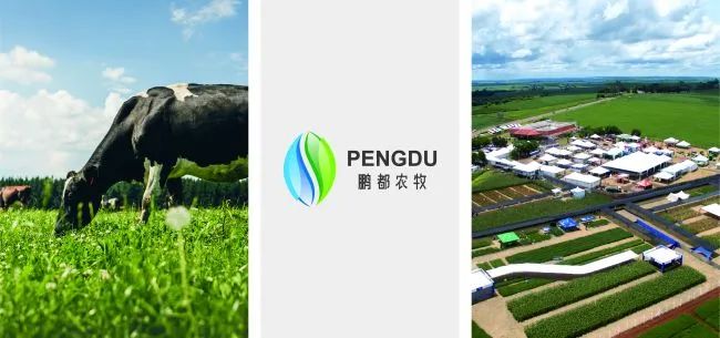 1685698554980123.jpg 640 (1).jpg